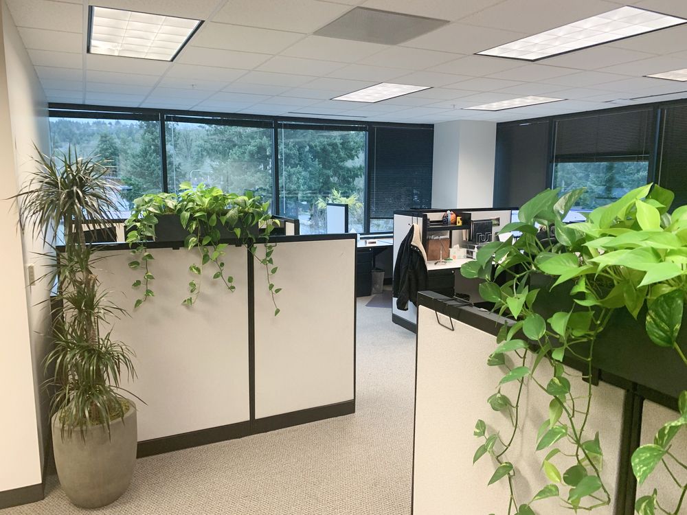 4800 Meadows, Suite 470, Lake Oswego - Sublease